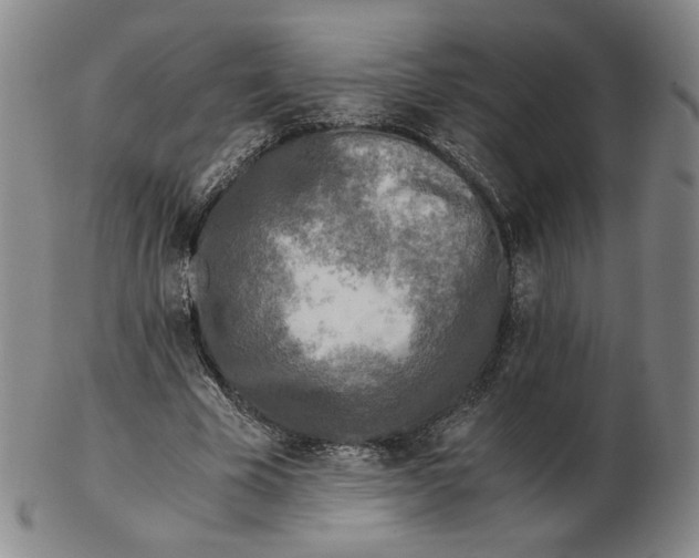 X0000103130585200809121734