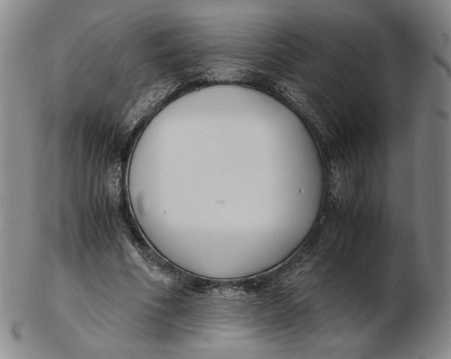 X0000103130586200809121734