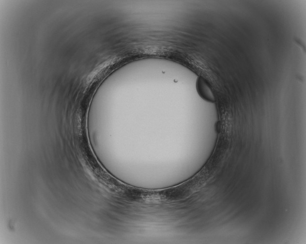 X0000103130587200809121734