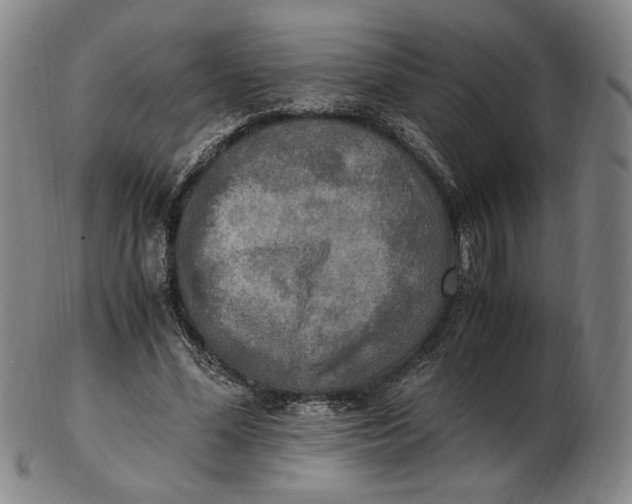 X0000103130588200809121734