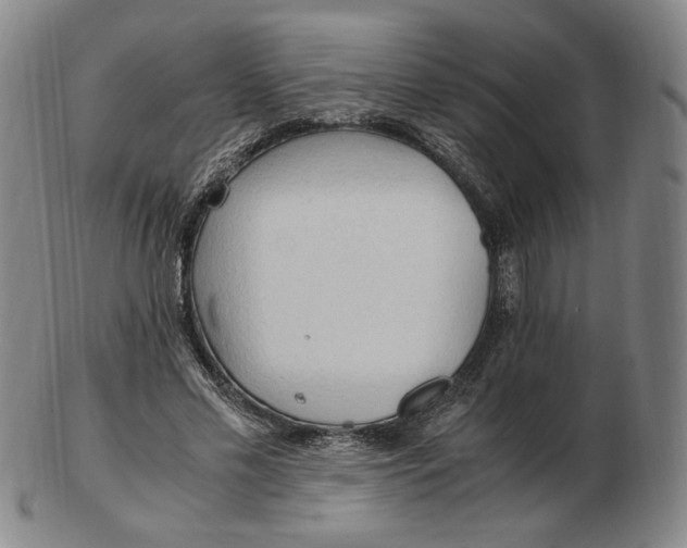 X0000103130589200809121733