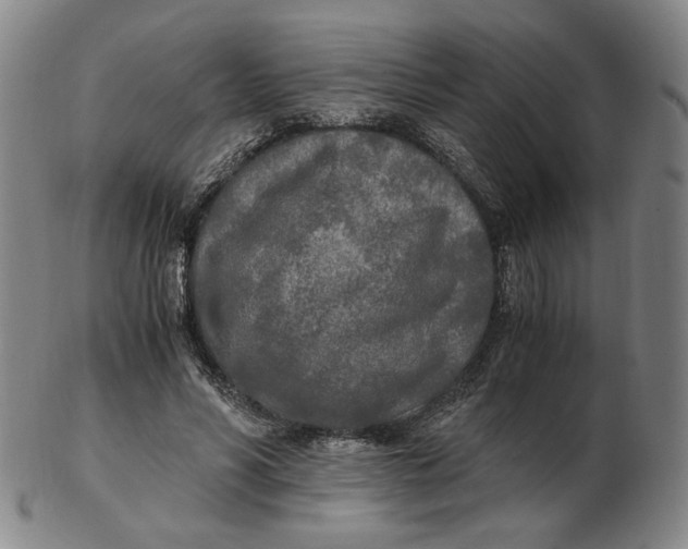 X0000103130590200809121733