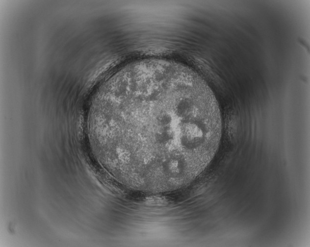 X0000103130591200809121733