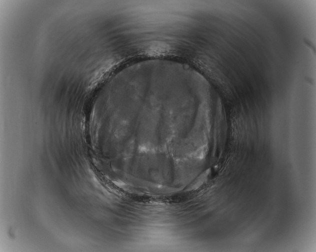 X0000103130592200809121733