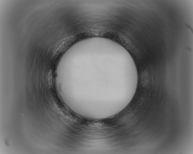 X0000103130594200809121733