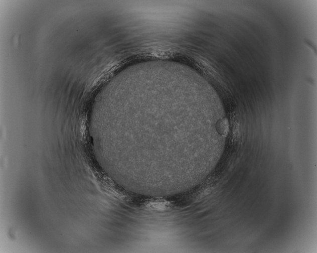 X0000103130595200809121733