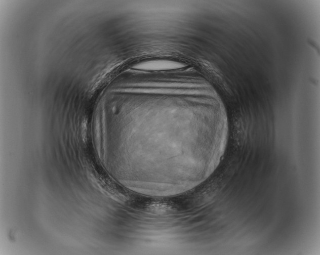 X0000103130596200809121733