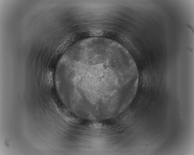 X0000103130598200809121733