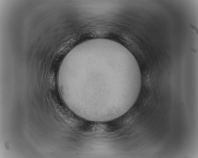 X0000103130599200809121733