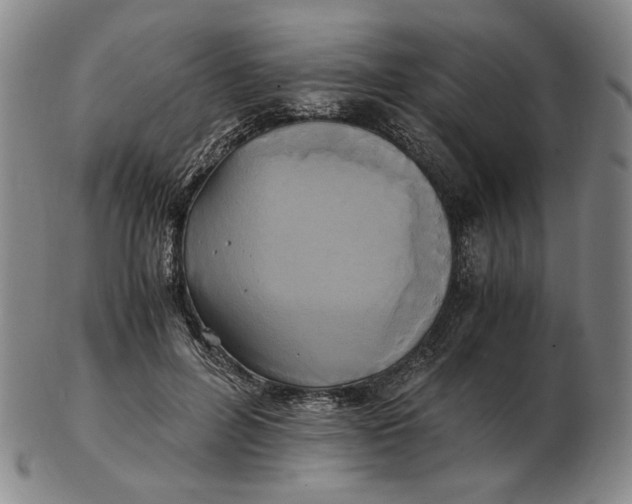 X0000103130600200809121733