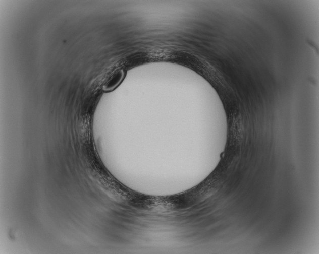 X0000103130601200809121733