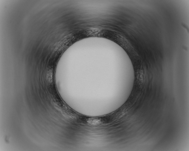 X0000103130602200809121733