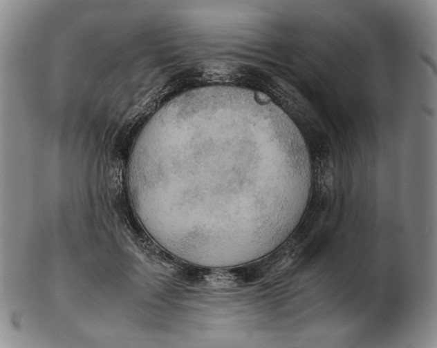 X0000103130603200809121733