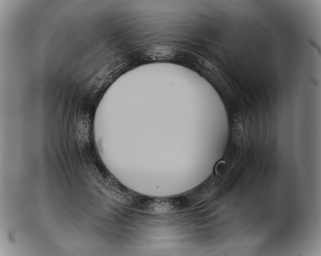 X0000103130604200809121733