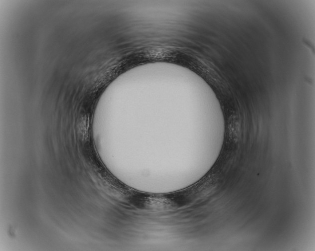 X0000103130605200809121733