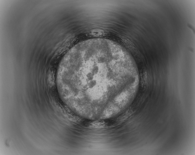X0000103130606200809121733