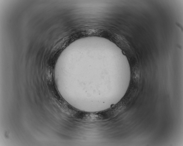 X0000103130607200809121733