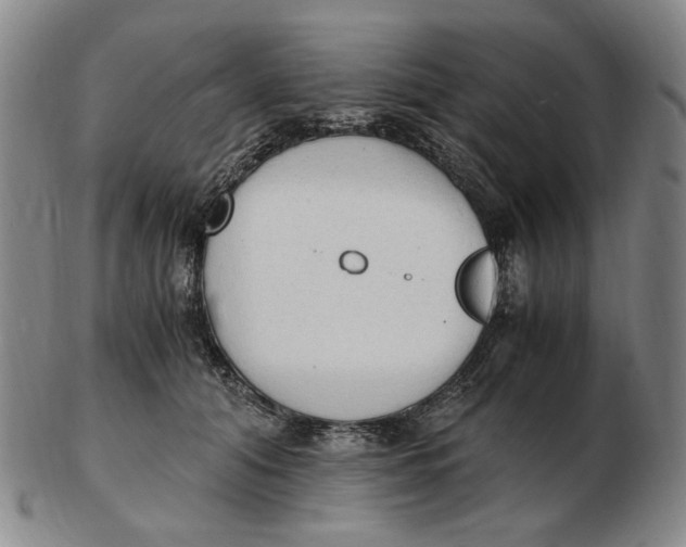 X0000103130608200809121733
