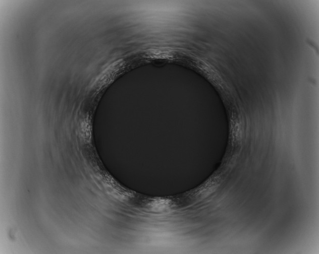 X0000103130609200809121733