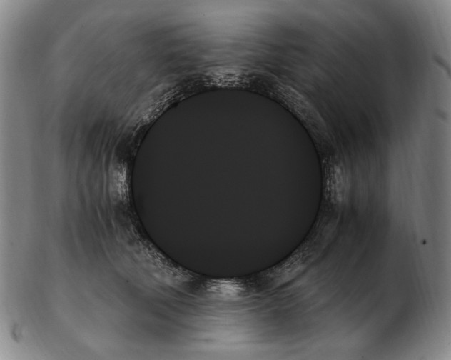 X0000103130610200809121733