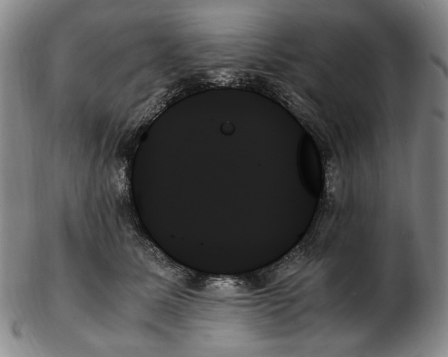 X0000103130611200809121733