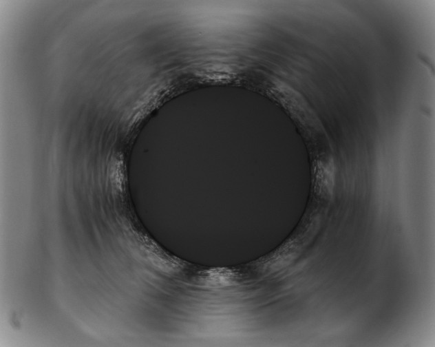 X0000103130612200809121733