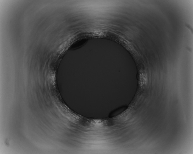 X0000103130613200809121733