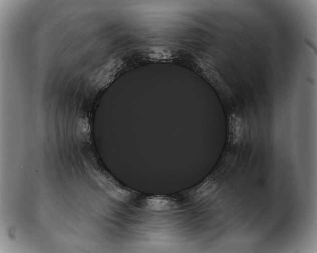 X0000103130614200809121733