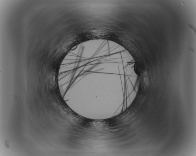 X0000103130615200809121733