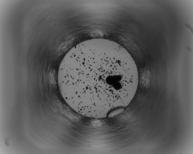 X0000103130616200809121733