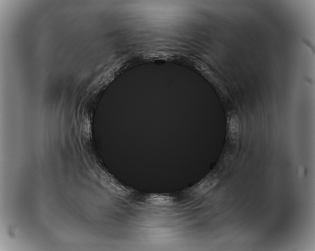 X0000103130617200809121733