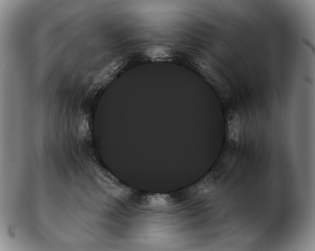 X0000103130618200809121733