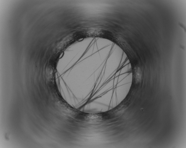 X0000103130619200809121733
