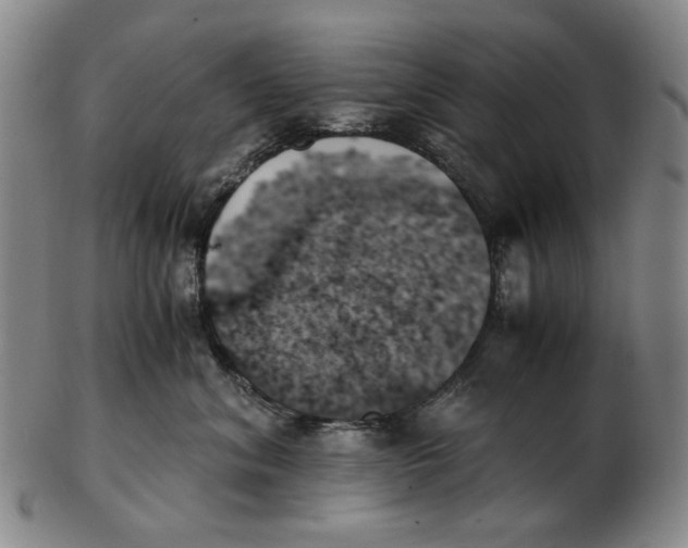 X0000103130620200809121733