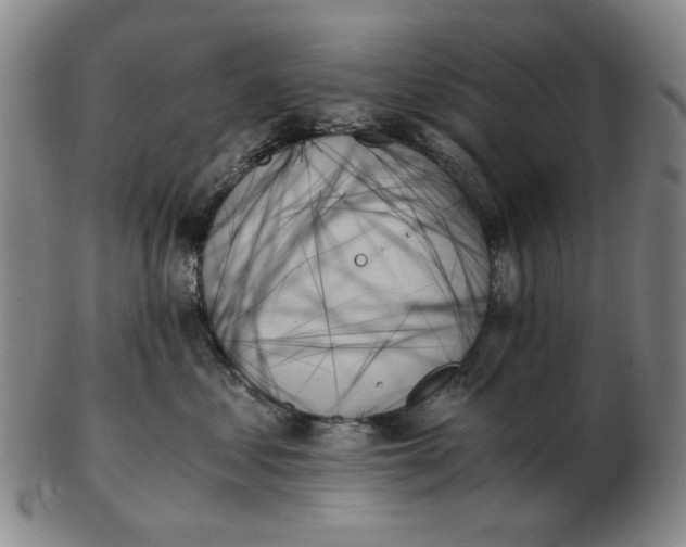 X0000103130621200809121733