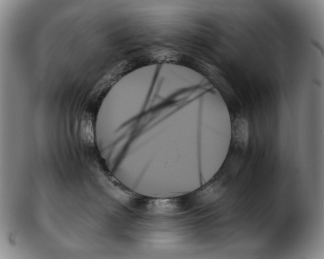 X0000103130622200809121733