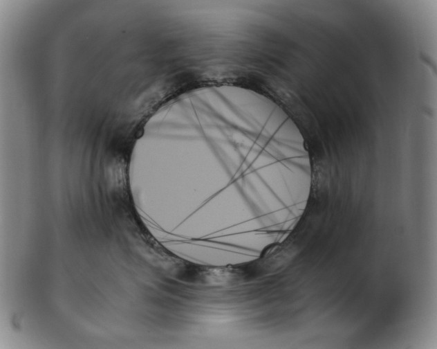 X0000103130623200809121733