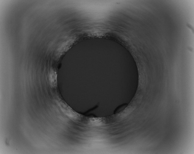 X0000103130624200809121733