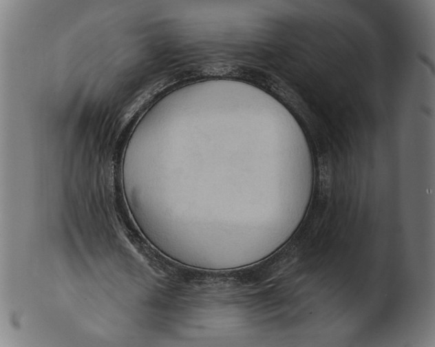 X0000103130626200809121732