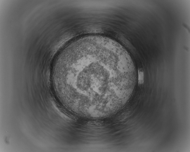 X0000103130627200809121732