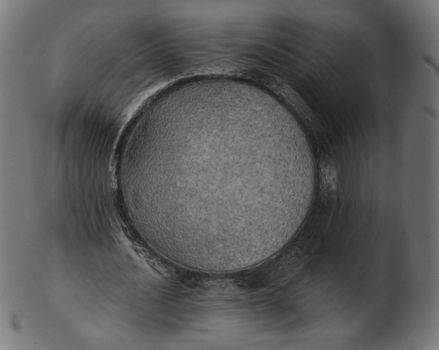 X0000103130628200809121732