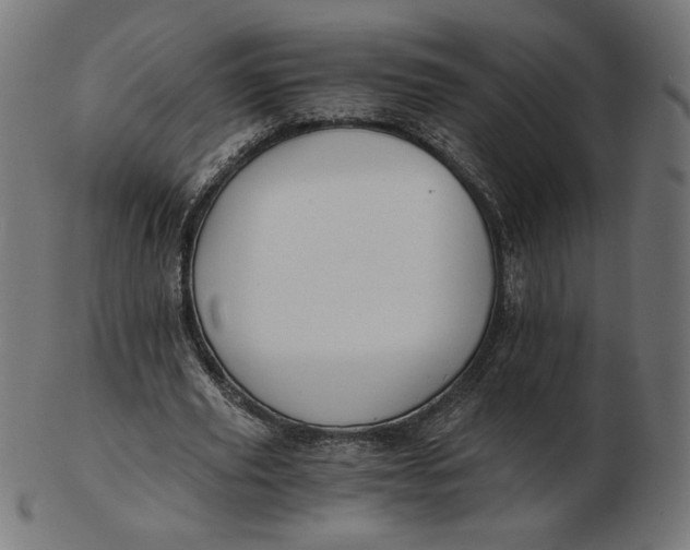 X0000103130629200809121732
