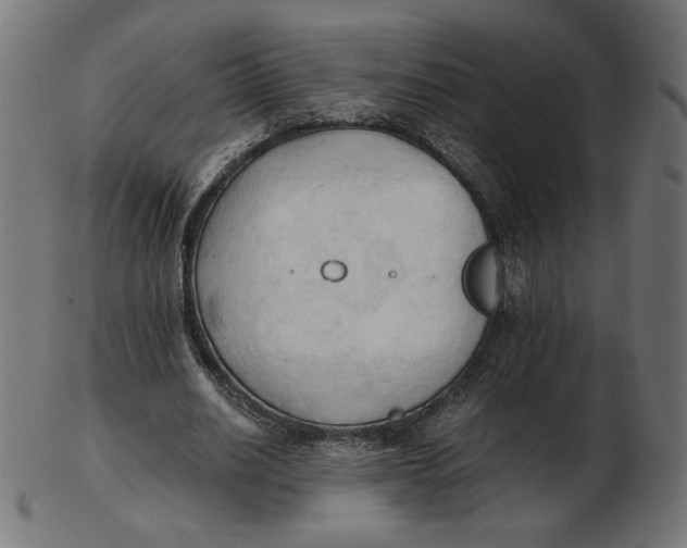 X0000103130630200809121732