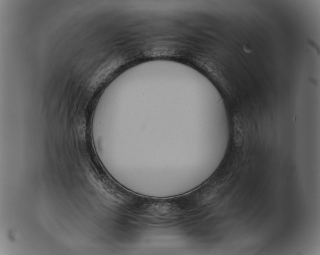 X0000103130631200809121732