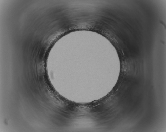 X0000103130632200809121732