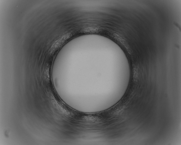 X0000103130633200809121732