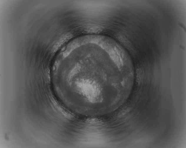 X0000103130634200809121732