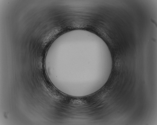 X0000103130635200809121732