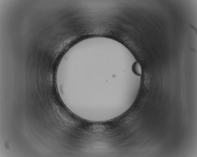 X0000103130636200809121732