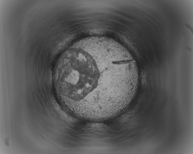 X0000103130637200809121732